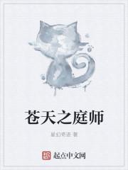 苍天之师顶点