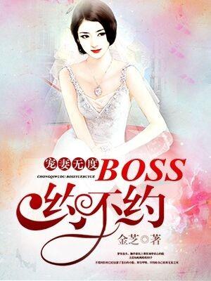 宠妻无度boss请节制