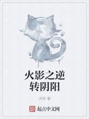 火影阴阳遁是什么