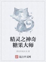 精灵之神奇糖果大师txt