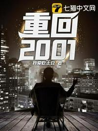 重回2001夜色迷人有后续么