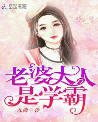 老婆大人是学霸漫画