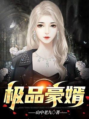 小小姐天降极品豪婿