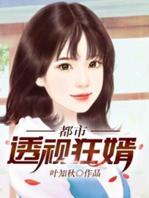 都市透视狂婿TXT奇书网