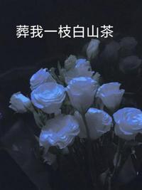 葬我一枝白山茶是be还是he