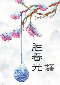 胜春光作者孤注一掷