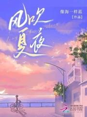 风吹旧夏