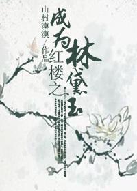 红楼之成为林黛玉作者山村漠漠