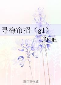 寻梅帘招（gl）