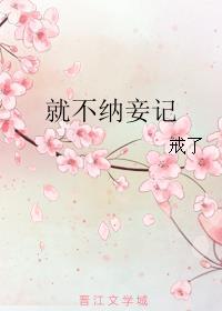 纳妾记第一季免费完整版