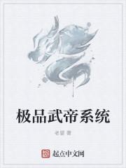 无敌武帝系统