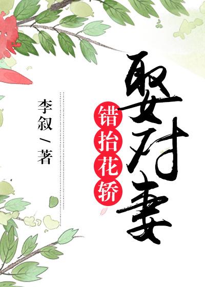 花轿嫁对郎上错花轿嫁对郎