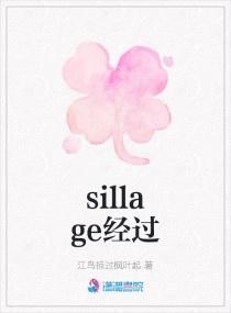 sillage是什么牌子