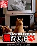 猫行天下娱乐有限公司怎么样