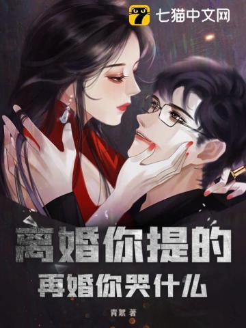 二婚说离就离