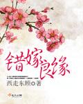 错嫁良缘之一代军师TXT