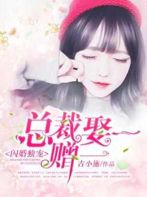 闪婚独宠：总裁娶一赠一